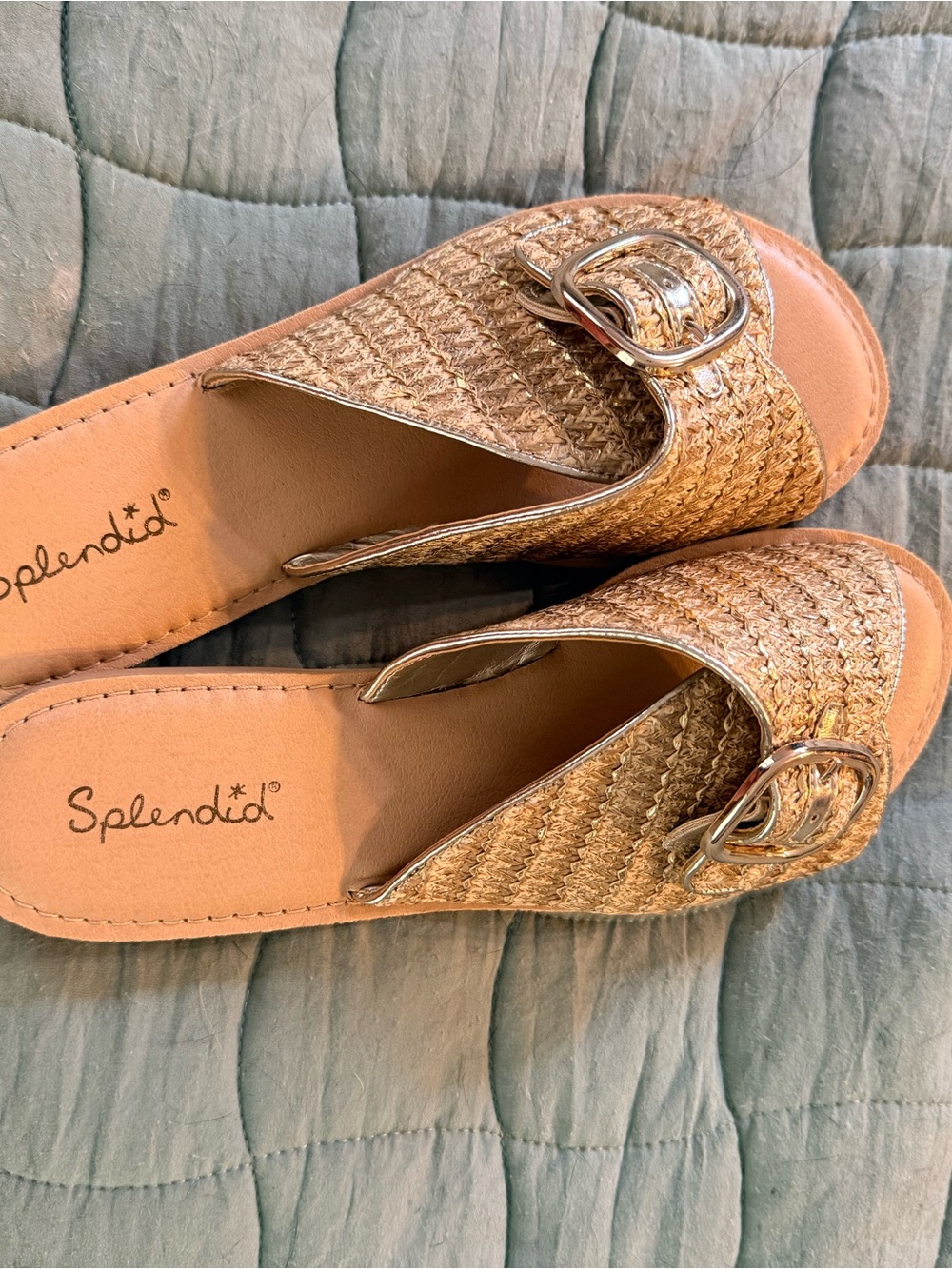 Splendid Gold Woven Slide Sandals with Buckle